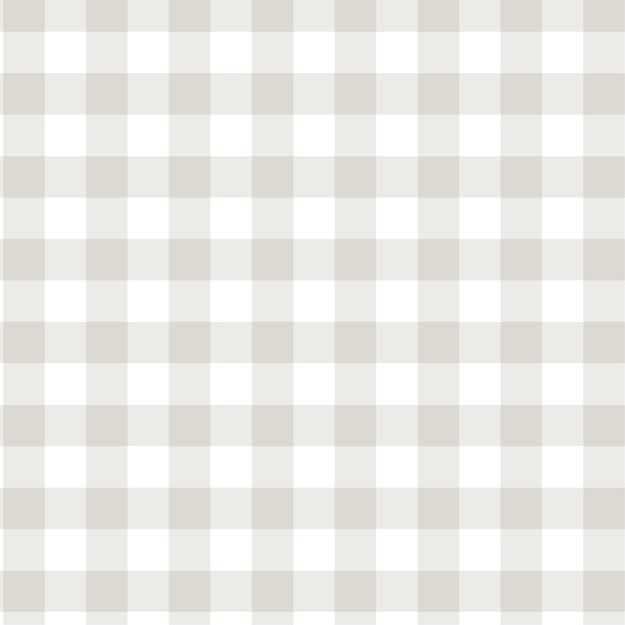 Stone Gingham