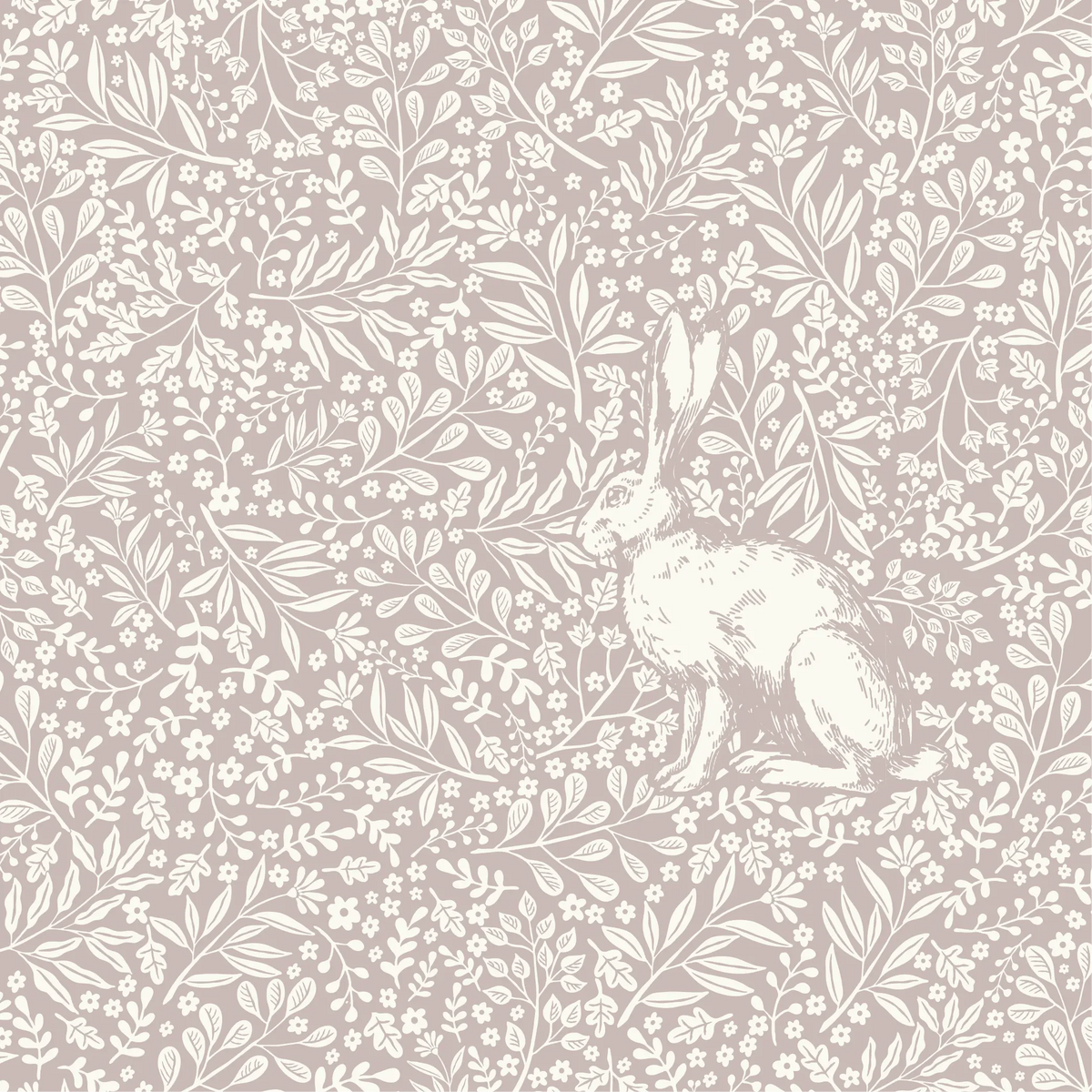 The Meadow Rabbit