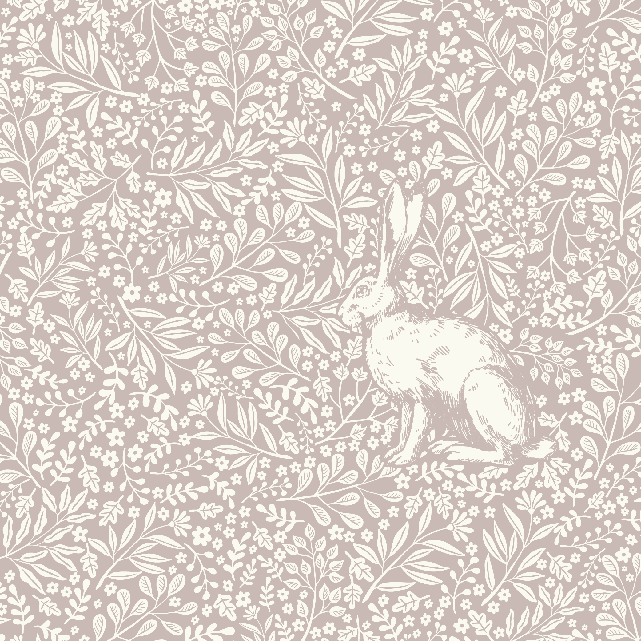 The Meadow Rabbit